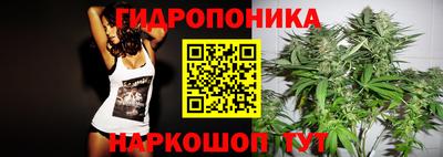 мдпв Ипатово