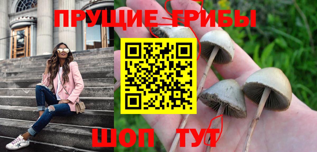 Магнитогорск  Псилоцибиновые грибы Magic Shrooms  Вход с VPN 